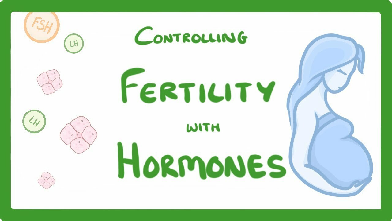 GCSE Biology - What is IVF? How Does IVF Work and What Are The Risks? IVF Explained #62